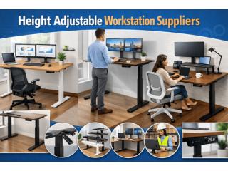 Height adjustable workstation Suppliers