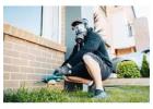 Pest Control in Oakville | Reliable & Affordable Services
