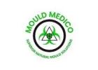 Mould Medico