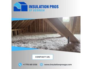 Attic Mold Cleanup and Insulation Replacement