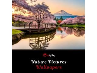 Nature Pictures Wallpapers