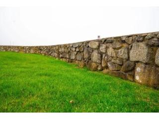 Premium Turf Management in Saginaw – Greener Lawns Start Here!