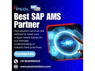 SAP AMS Partner in Bangalore