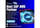 SAP AMS Partner in Bangalore