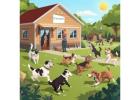 Dog Boarding Services in Chandigarh