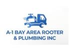 Fix Your Sewer Line Efficiently with A-1 Bay Area Rooter & Plumbing in CA!