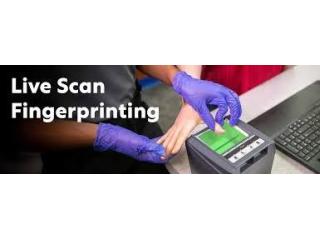Livescan Fingerprinting Cost