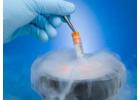 Affordable Egg Freezing India -Curespots