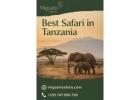 Best Safari in Tanzania – Explore Top Parks