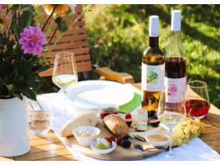 Weingut mit Übernachtung und Weinprobe: Dein perfektes Wochenende in Hackenheim