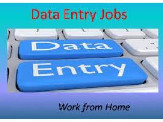 Freelance Data Entry Work Contact Now7708244092