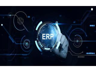 Complete Digital Control for Growing Enterprises