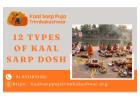 12 Types Of Kaal Sarp Dosh Puja At Trimbakeshwar