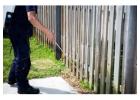 Reliable Pest Control Jacksonville Services Delivering Safe Effective Long Term Pest Solutions