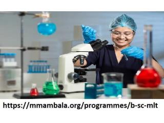 Bsc mlt course
