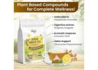 Buy Organic Lemon Ginger Tea for Detox & Daily Wellness | vegswell