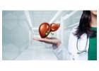 Liver Specialist Doctor in Ludhiana for Expert Care