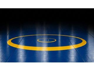 Buy Best Price Wrestling Mat | Gravolite