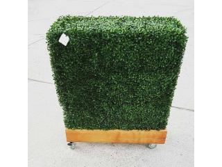 Dense Artificial Plant Hedge for Instant Green Privacy
