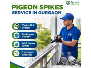 Trusted Pigeon Spikes Service in Gurgaon | Long Lasting Bird Control by Service Mantra