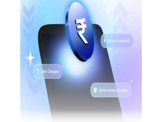 Quick Online Service to Send Money to India