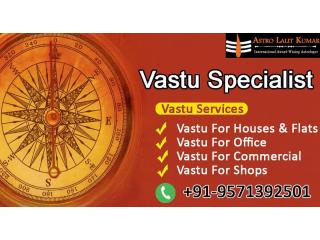 Professional Vastu Services for Home and Business
