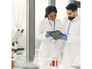 Affordable And Expert Consultation Services in New England – Call Now