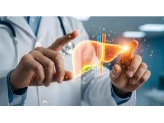 Liver Disease Treatment Ahmedabad with Expert Care