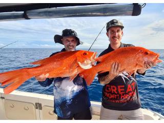 Cairns Fishing Charters: Experience World-Class Reef Fishing