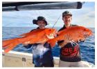 Cairns Fishing Charters: Experience World-Class Reef Fishing
