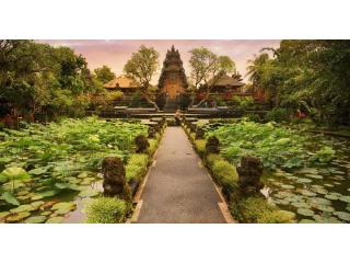 Ubud B2B Tour Packages for Travel Agents - Travelbliss Bali DMC