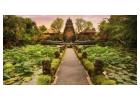 Ubud B2B Tour Packages for Travel Agents - Travelbliss Bali DMC