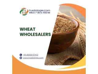 Buy Bulk Wheat Directly from Global Sellers