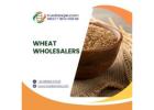 Buy Bulk Wheat Directly from Global Sellers