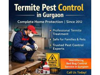 Top Termite Pest Control in Gurgaon | Effective and Safe Anti Termite Solutions