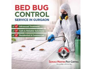 Trusted Bed Bug Control Service in Gurgaon for Complete Pest Protection