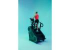 Shop Cardio Machines for Spring Season – Stair Climbers on Sale