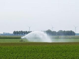 Advanced Irrigation Design for Better Landscape Growth California