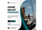 Marine Biology Programs South Africa