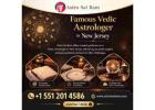 Famous Vedic Astrologer in New Jersey