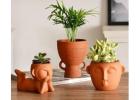 Durable & Stylish Terracotta Planters by DNF Ceramics