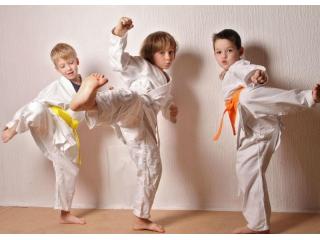 Taekwondo Toddler Classes
