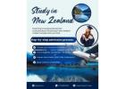 Build Your Dream Life – Study in New Zealand