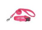 Buy Dog Leashes Online: Better Choice, Less Effort