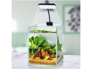 Affordable Aquarium Supplies in Sydney & Australia – Quality You Can Trust