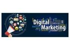 Best Digital Marketing in Noida for Business Growth