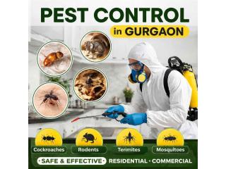 Best Pest Control in Gurgaon | Affordable & Reliable Services by Service Mantra