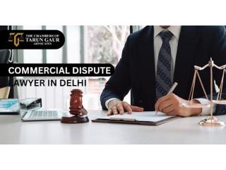 Need a Commercial Dispute Lawyer in Delhi? Get Legal Guidance