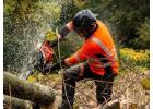 Tree Removal Services Carlingford | Arborists NSW