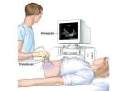 Advanced Sonography & Ultrasound Clinic in Noida | Trusted Care by Dr. Manjari